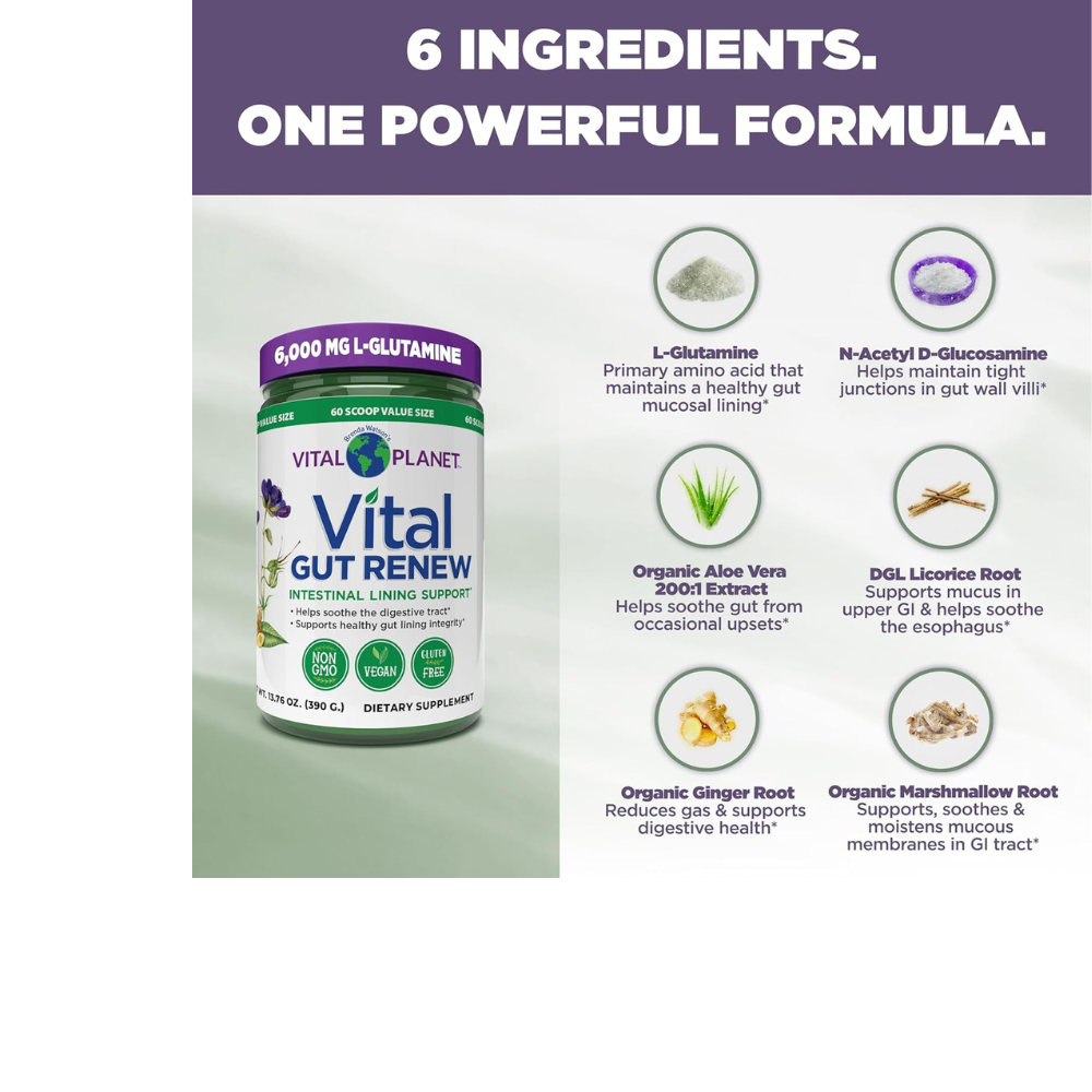 Vital GUT RENEW