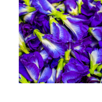 Thumbnail for Rosy Mood Tea