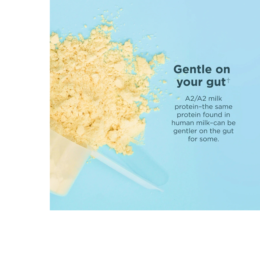 WHEY PROTEIN - VANILLA BEAN FLAVOR