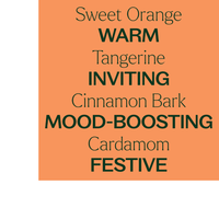 Thumbnail for Citrus & Cinnamon Linen and Pillow Spray