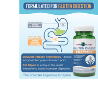 Thumbnail for Gluten Digest - Targeted Enzyme Supplement