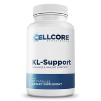 Thumbnail for KL SUPPORT