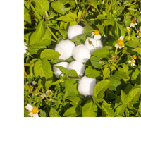 Thumbnail for ORGANIC JUMBO COTTON BALLS