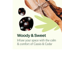 Thumbnail for CASSIS & CEDAR NATURALLY SCENTED CANDLE