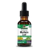 Thumbnail for Mullein Extract - Alcohol Free Liquid