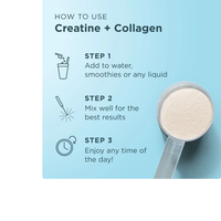 Thumbnail for Creatine + Collagen + Electrolytes - Lemon Flavor