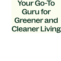 Thumbnail for PUMPKIN PASSIVE DIFFUSER