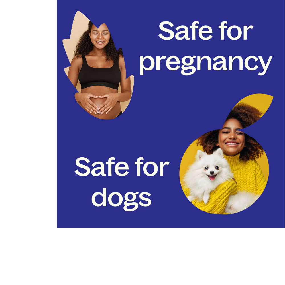 FRANKINCENSE SERRATA ESSENTIAL OIL