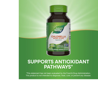 Thumbnail for Chlorella