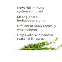 Thumbnail for Thyme Thymol Organic Essential Oil Undiluted