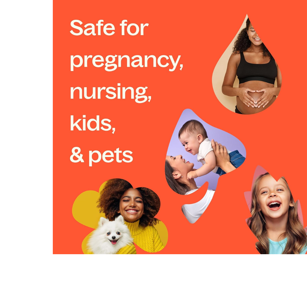 Study Time Roll On Pre-Diluted Essential Oil