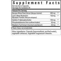 Thumbnail for BRAINPOWER - Free of Stimulants