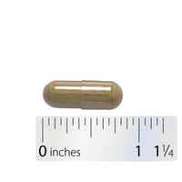 Thumbnail for Olive Leaf Premium Extract