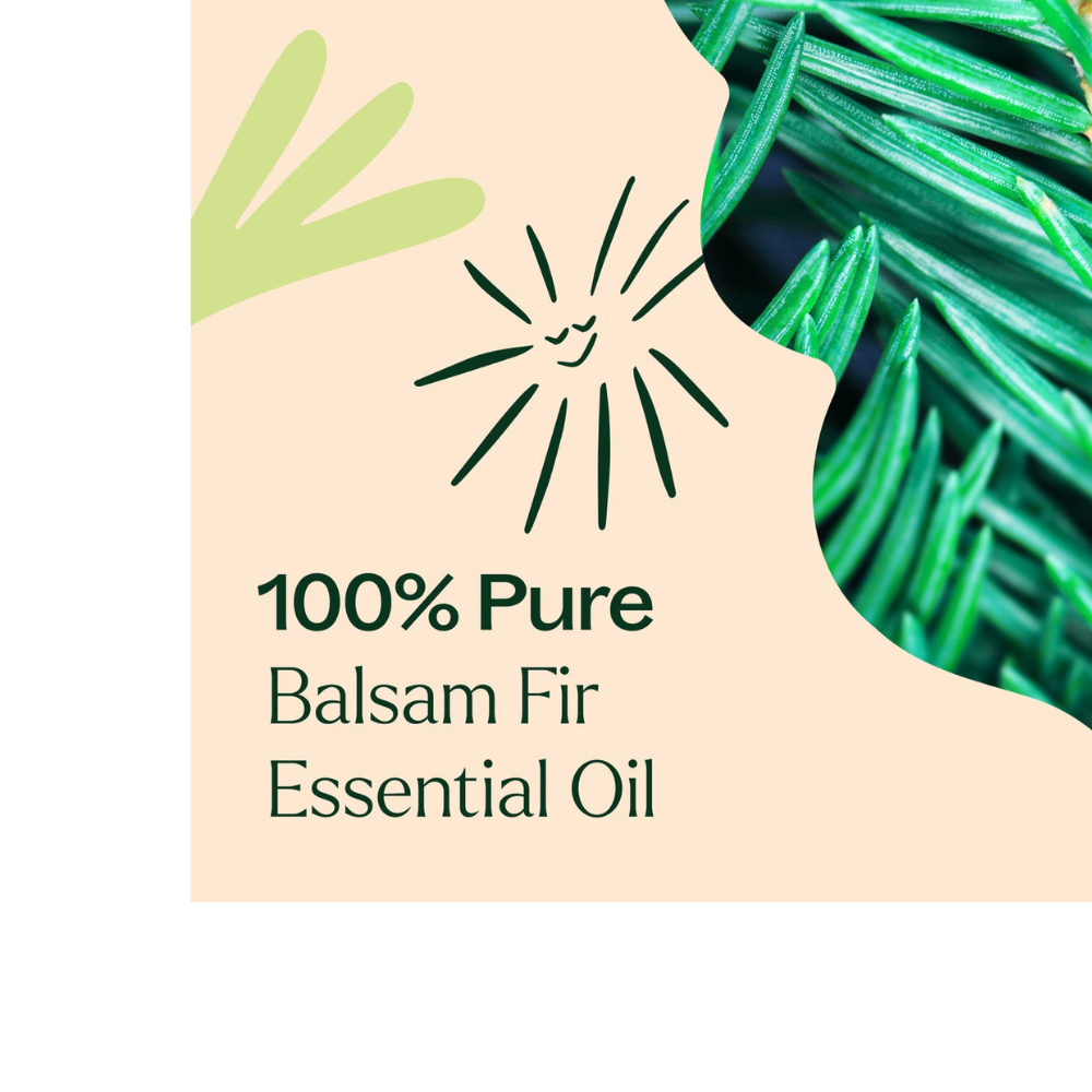 Balsam Fir Essential Oil