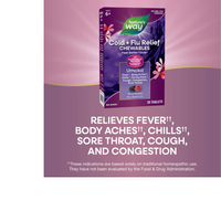 Thumbnail for Umcka Cold+Flu Relief Chewables