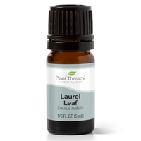 Thumbnail for Laurel Leaf Essential Oil