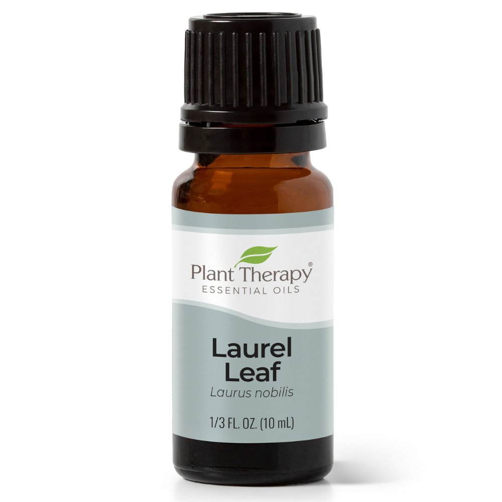Laurel Leaf Essential Oil
