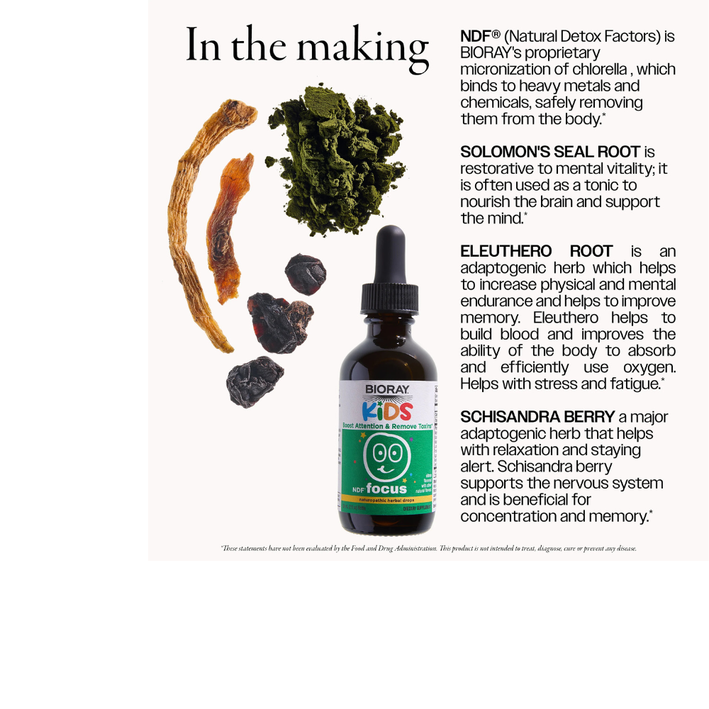 NDF Focus - Citrus Flavor
