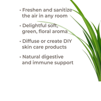 Thumbnail for Organic Palmarosa Essential Oil