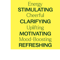 Thumbnail for Energy Essential Oil Blend Pre-Diluted Roll-On