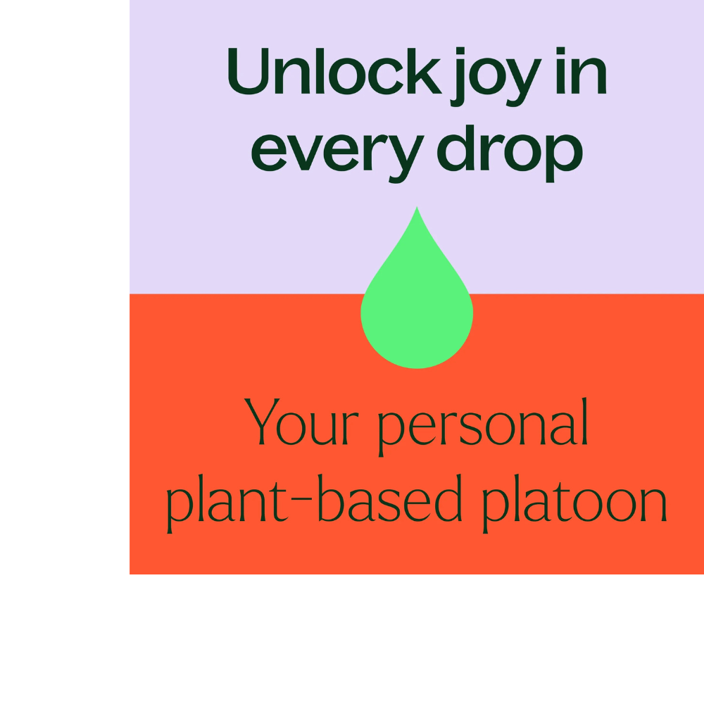 Essential Oils 7 & 7 Set - 7 Single Oils & 7 Blends 10 mL (1/3 oz) Undiluted