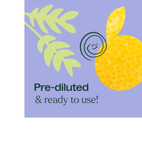 Thumbnail for Study Time Roll On Pre-Diluted Essential Oil