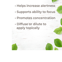 Thumbnail for Invigor Aid Essential Oil Blend