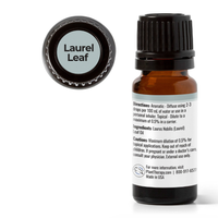 Thumbnail for Laurel Leaf Essential Oil