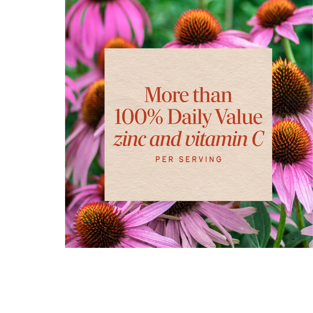 ZINC LOZENGES WITH VITAMIN C AND ECHINACEA