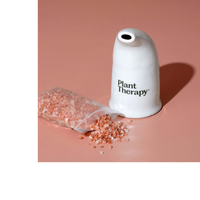 Thumbnail for Himalayan Salt Inhaler