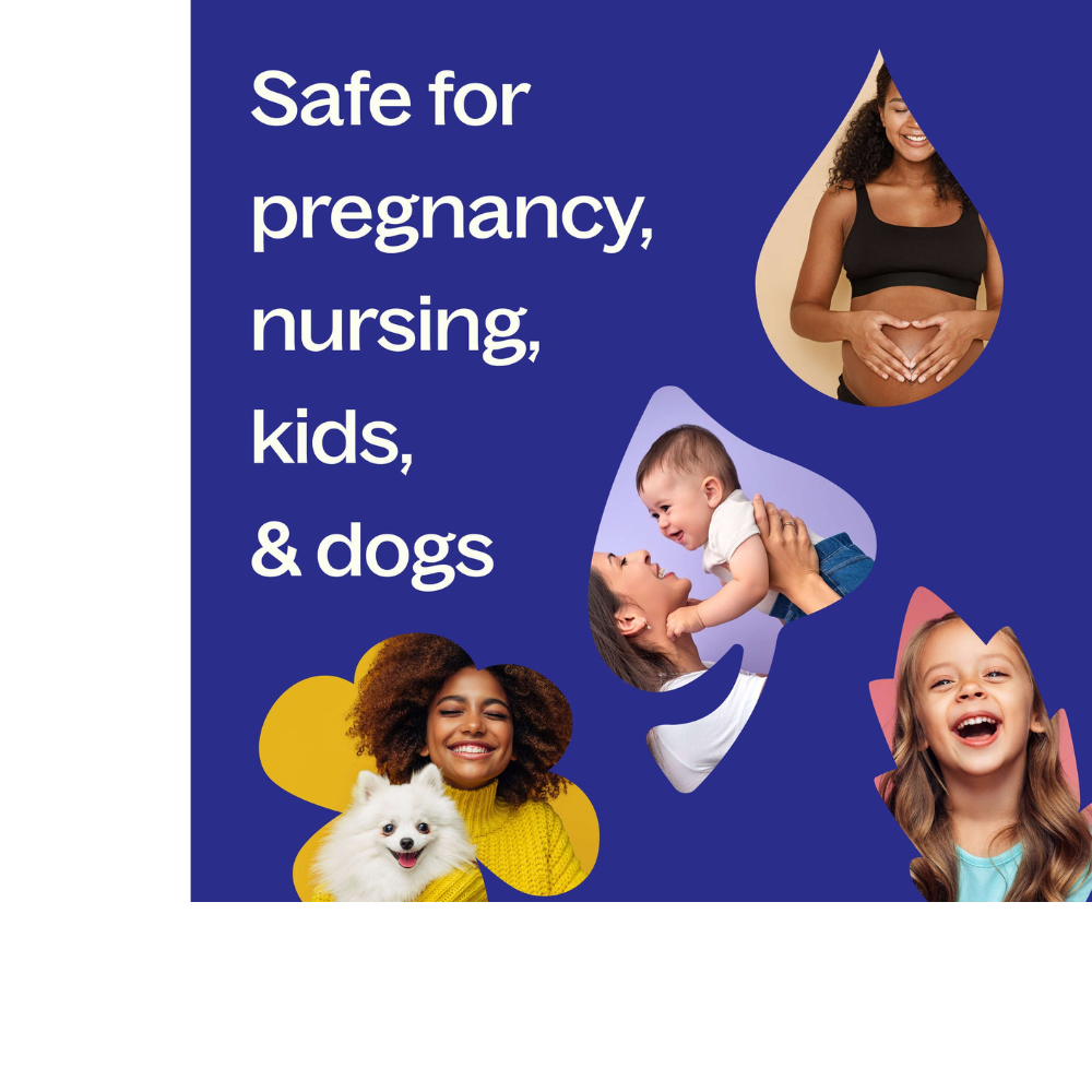 Balsam Fir Essential Oil