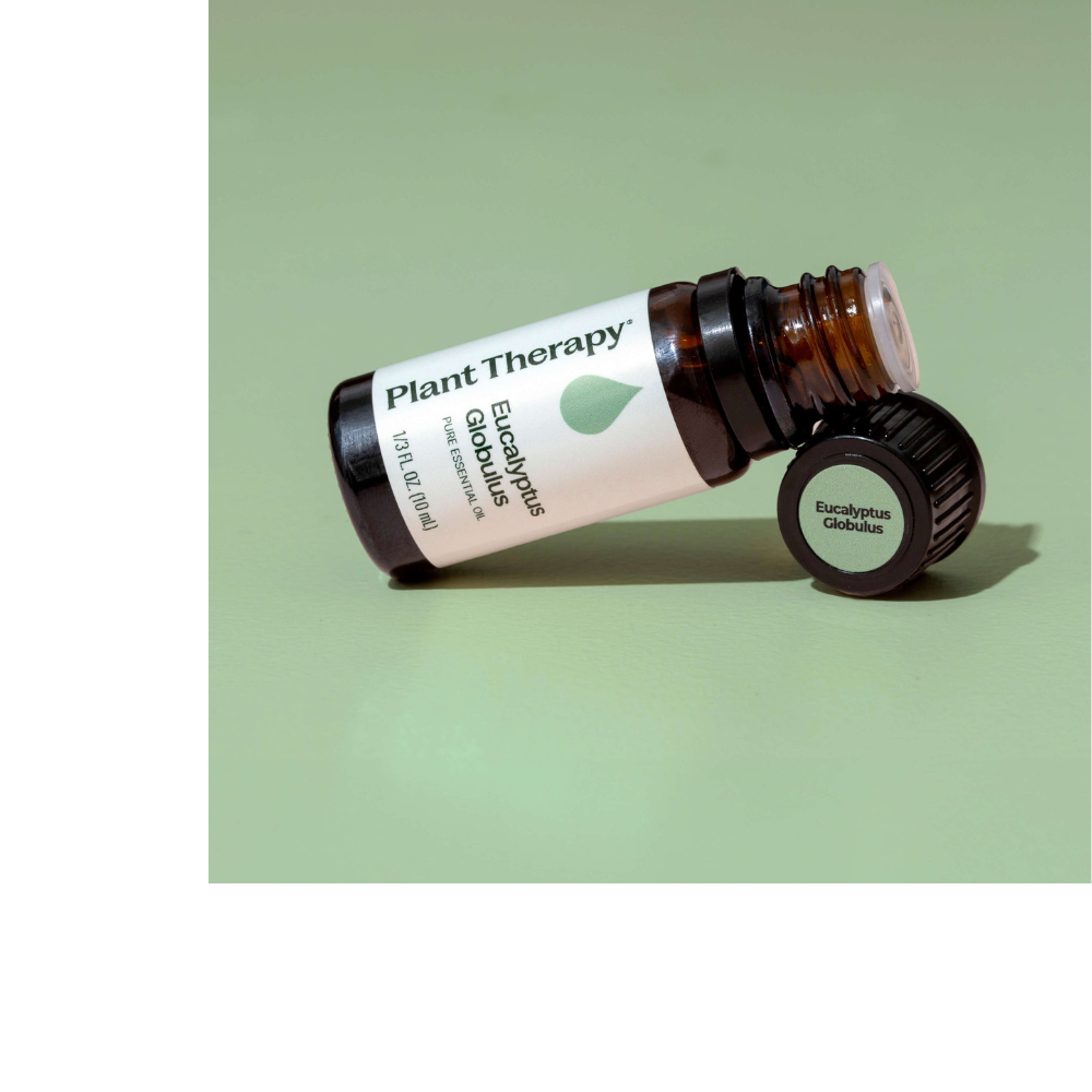 Eucalyptus Globulus Essential Oil