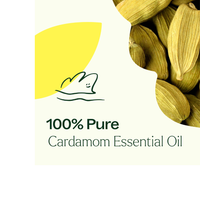 Thumbnail for Cardamom Essential Oil