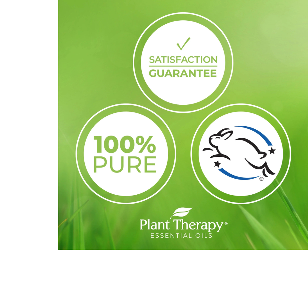 Laurel Leaf Essential Oil