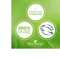 Thumbnail for Laurel Leaf Essential Oil