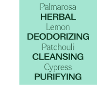 Thumbnail for Deodorizing Synergy Essential Oil Blend Pre-Diluted Roll-On