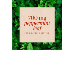 Thumbnail for Peppermint Leaf