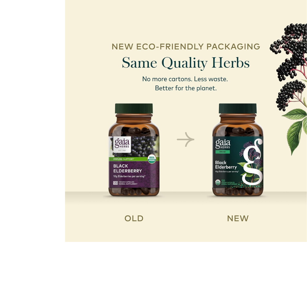 Black Elderberry