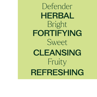 Thumbnail for Defender Essential Oil Blend