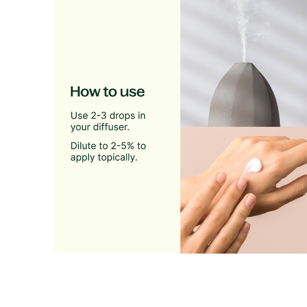 Balsam Fir Essential Oil