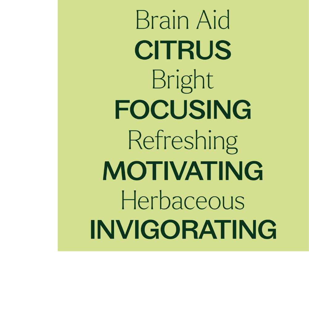 Brain Aid Essential Oil Blend Pre-Diluted Roll-On