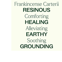 Thumbnail for Frankincense Carterii Essential Oil Pre-Diluted Roll-On