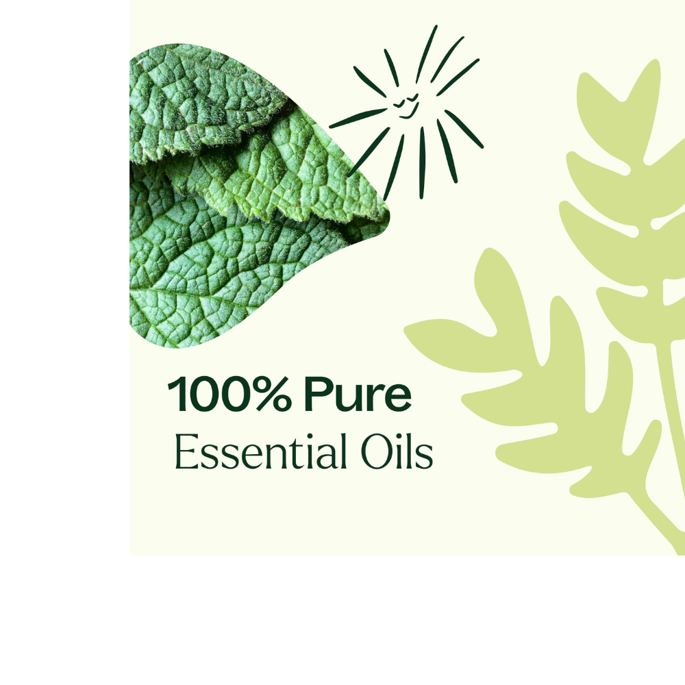 Pain Support Essential Oil Blend Roll On Set