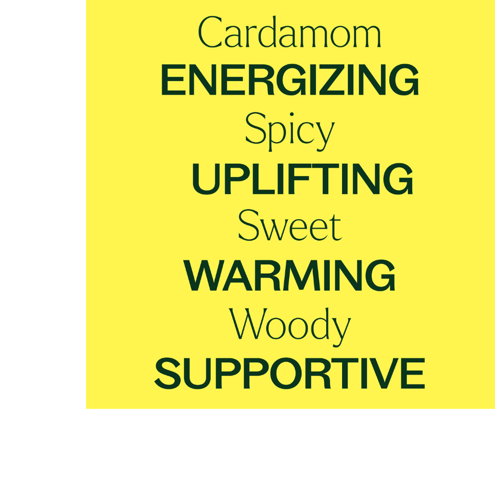 Cardamom Essential Oil