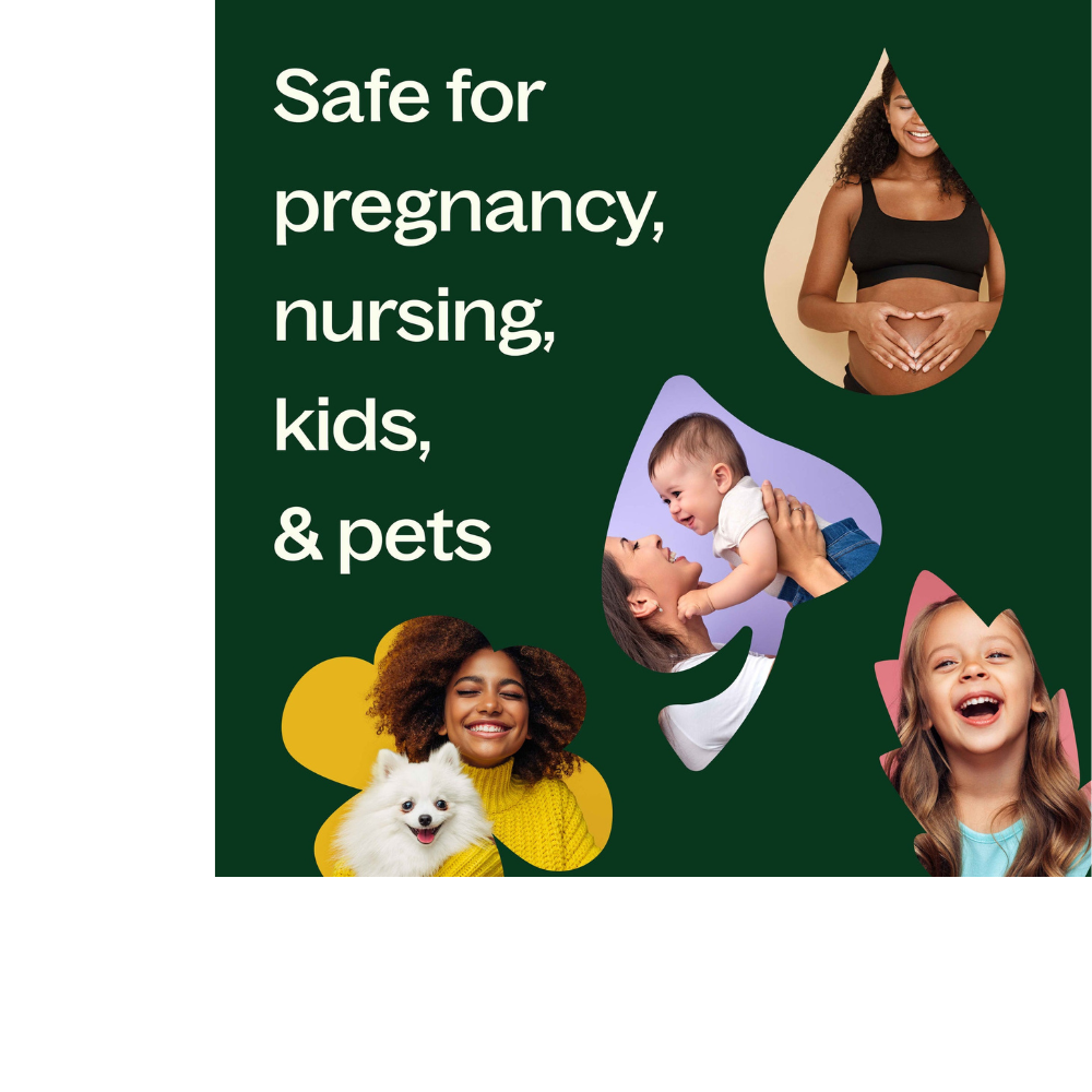 Roman Chamomile Essential Oil