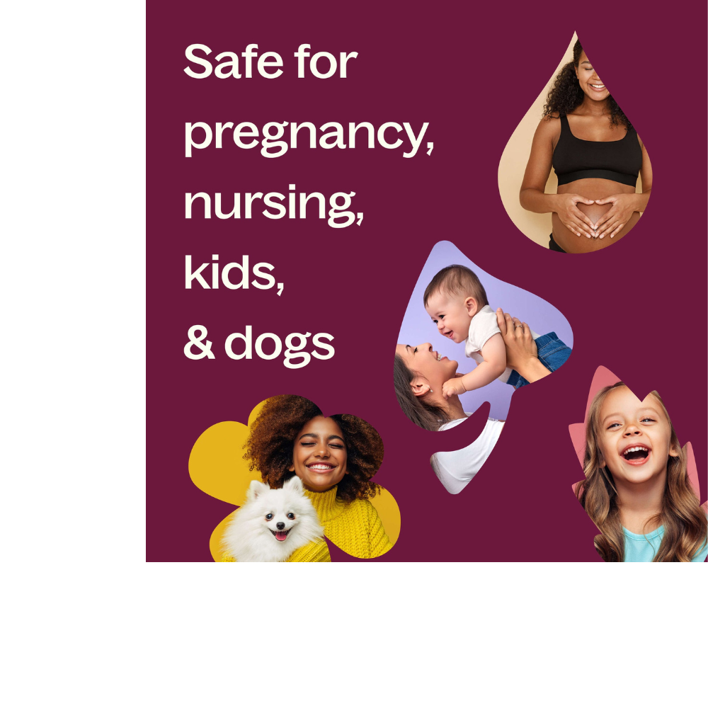 Organic Frankincense Carterii Essential Oil