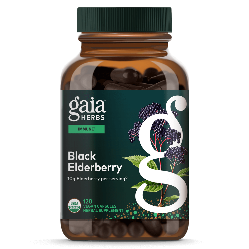 Black Elderberry