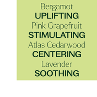 Thumbnail for Study Time Roll On Pre-Diluted Essential Oil