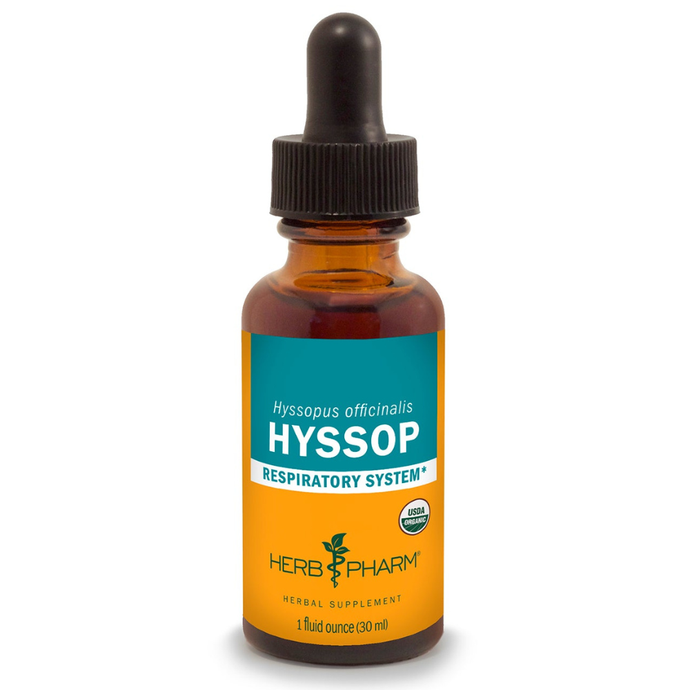 Hyssop