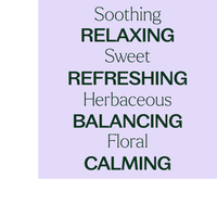 Thumbnail for Lavandin Essential Oil